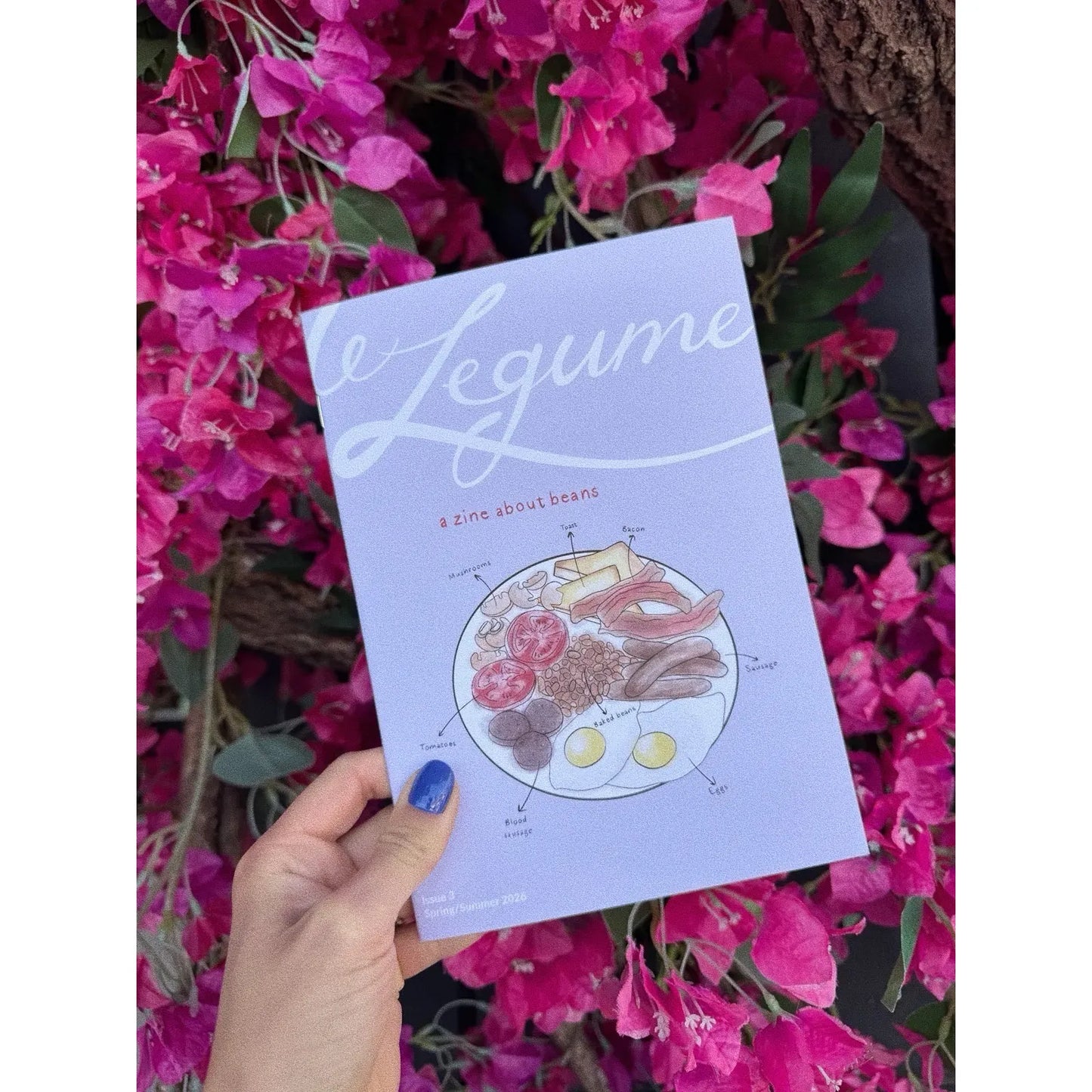 Le Legume Issue 3: Spring/Summer 2026