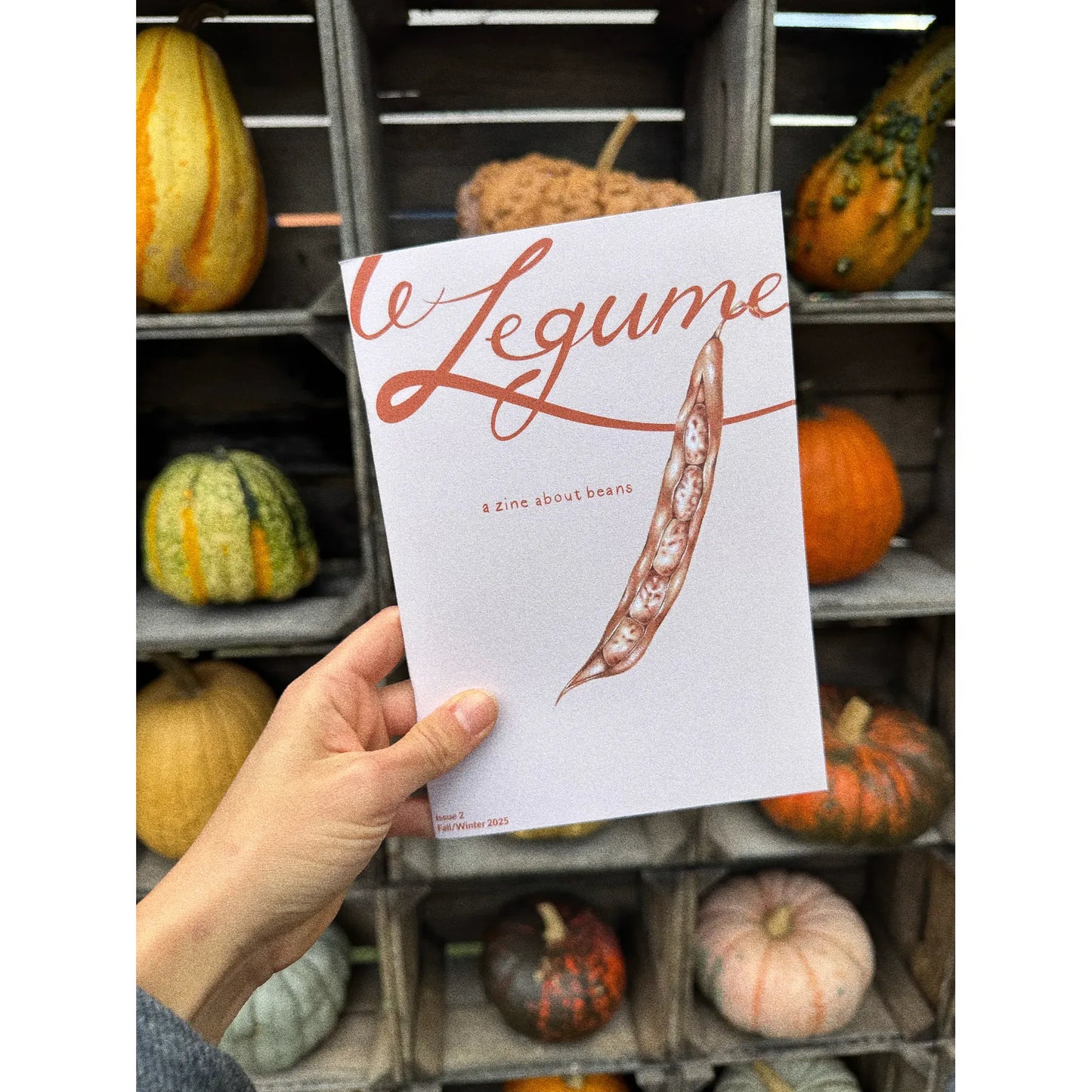Le Legume Issue 2: Fall/Winter 2025