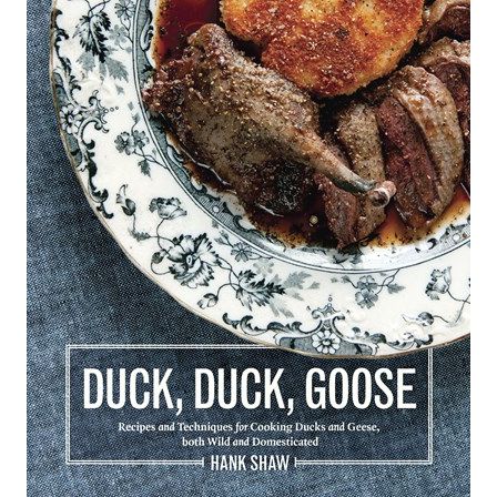 Duck, Duck, Goose (Hank Shaw)