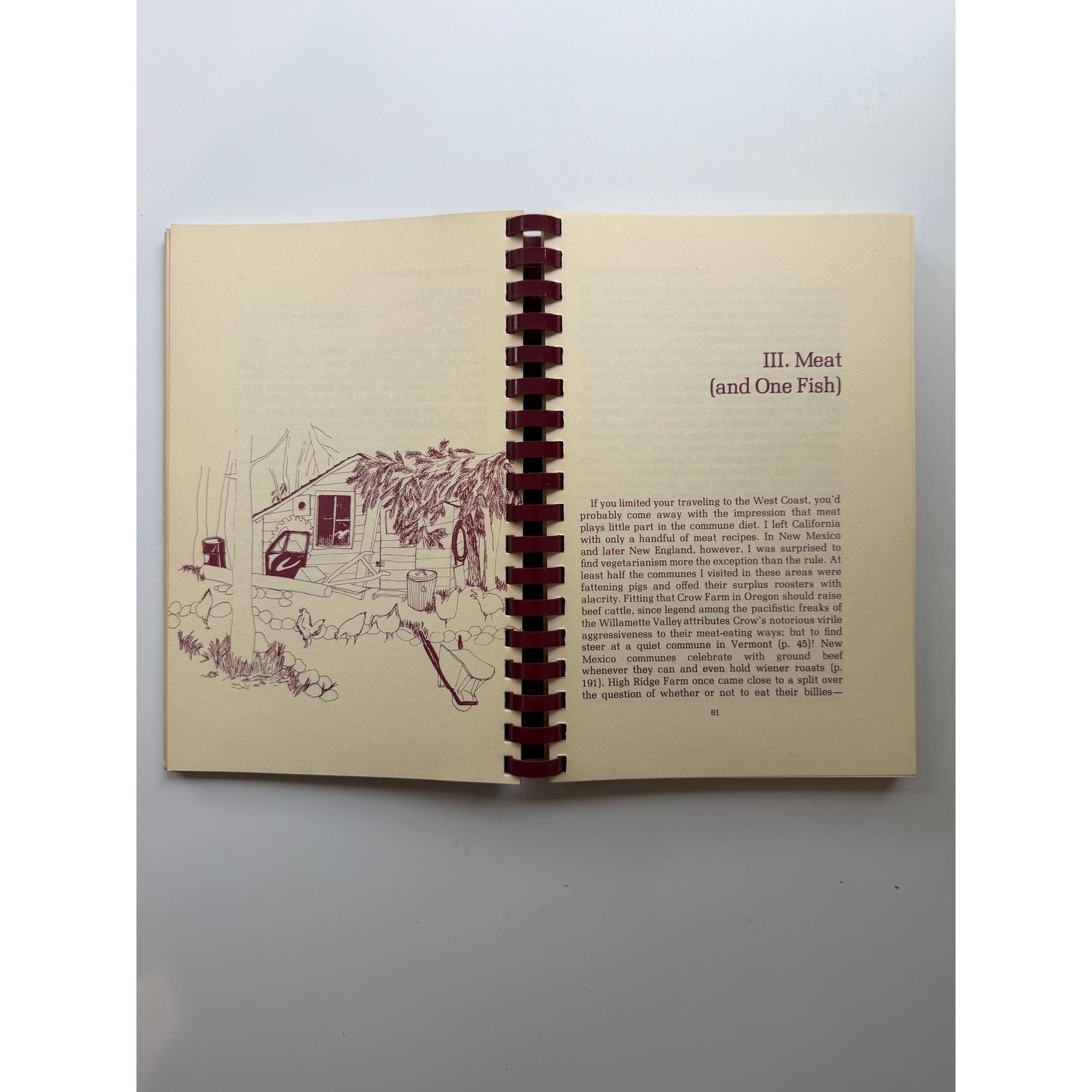 Country Commune Cooking (Lucy Horton)