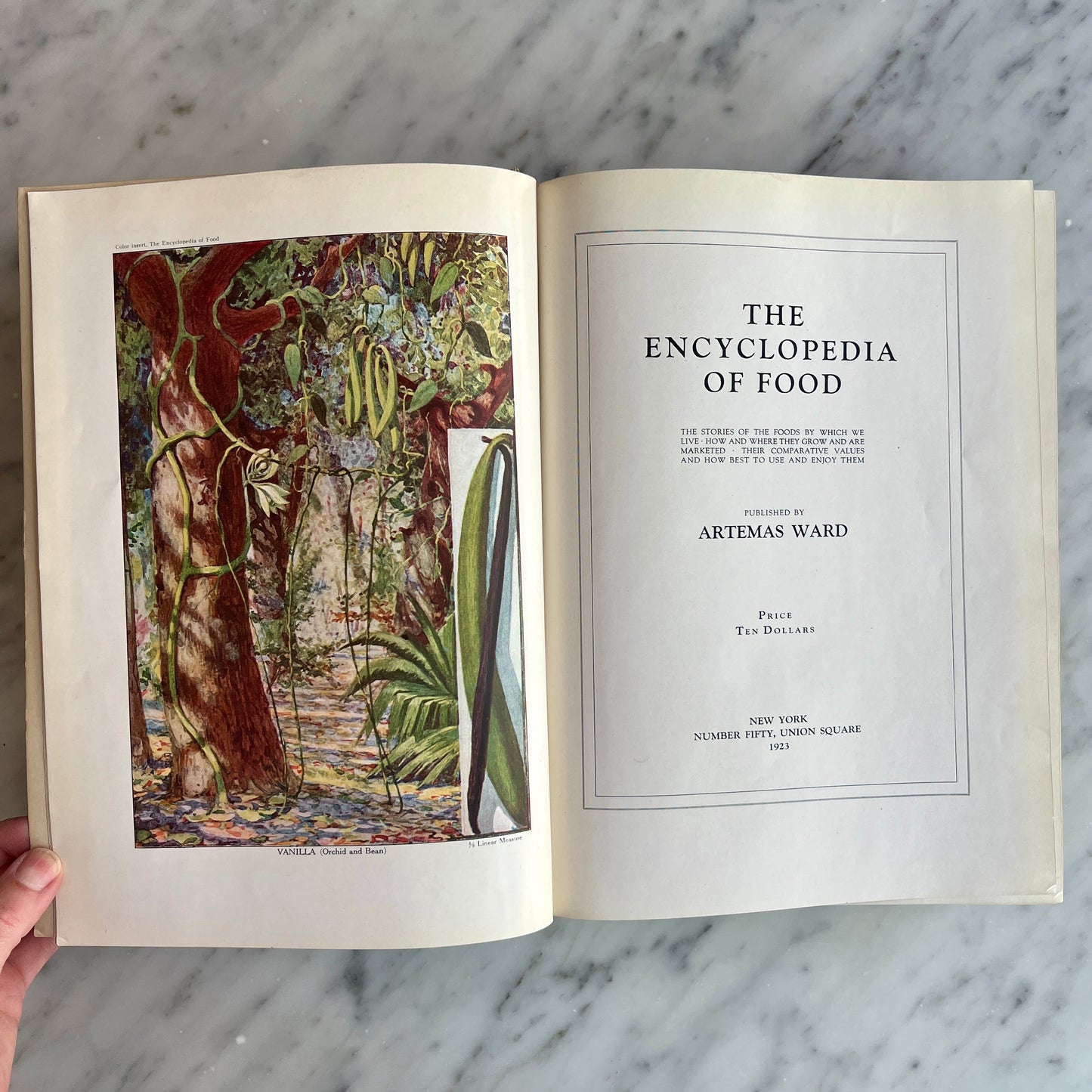 The Encyclopedia of Food (Artemas Ward)