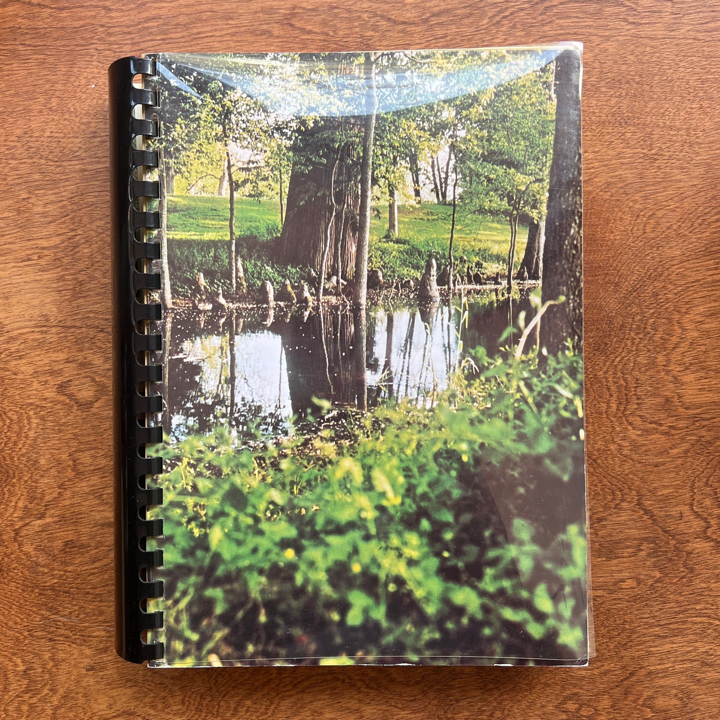 Bayou Cuisine: Its Tradition and Transition (St. Stephens Episcopal Church)