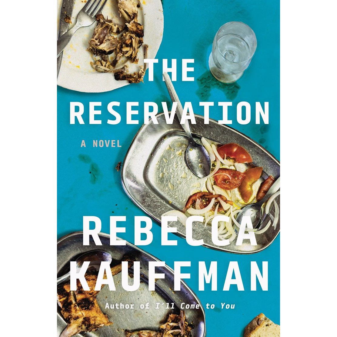 The Reservation: A Novel (Rebecca Kauffman)