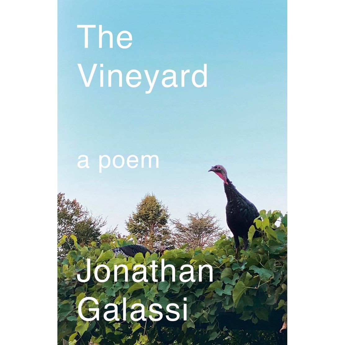 The Vineyard: A Poem (Jonathan Galassi)