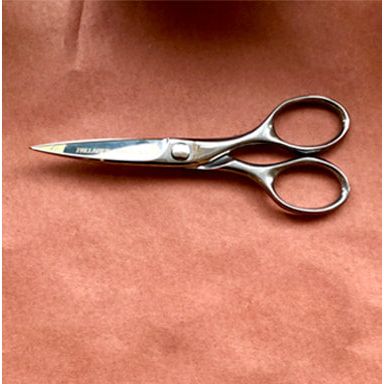 Pallarès Master Kitchen Scissors