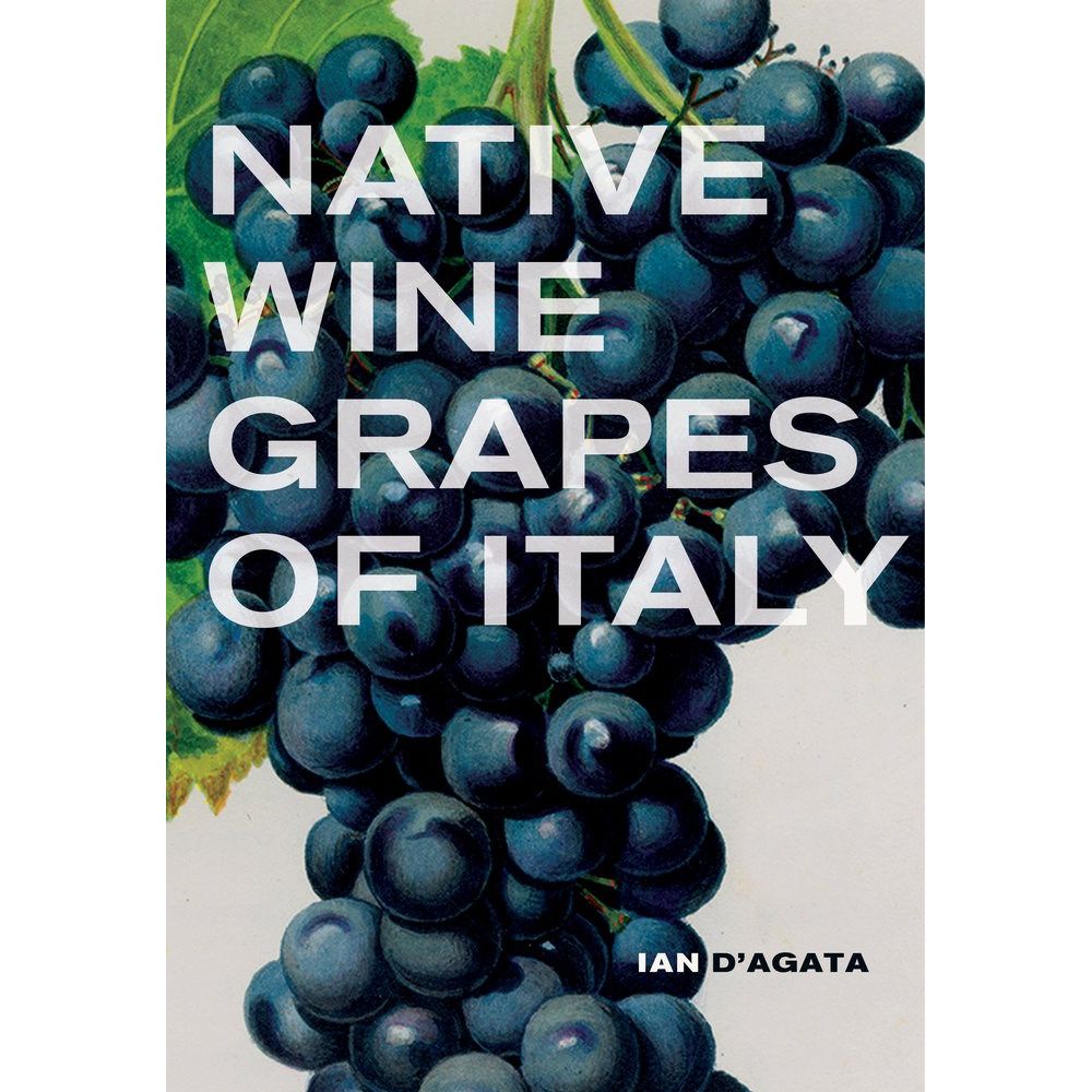 Vino: The Essential Guide to Real Italian Wine: Campanale, Joe