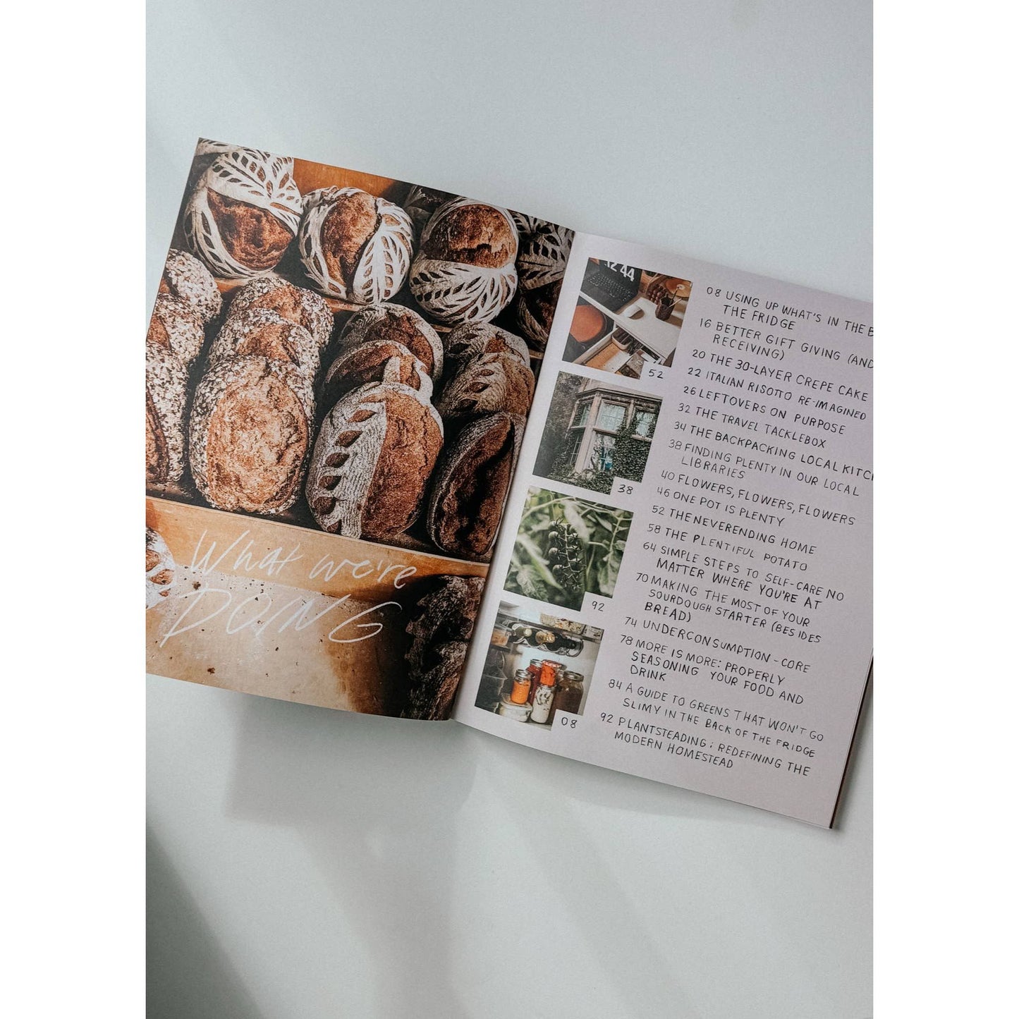 Chickpea Mag Issue 39: Plenty