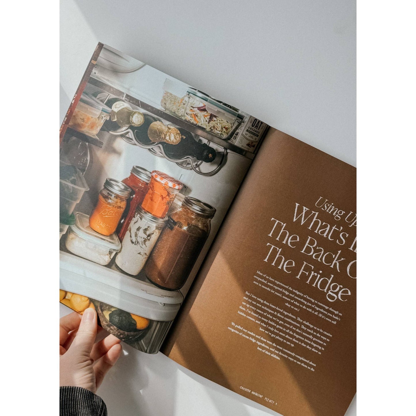 Chickpea Mag Issue 39: Plenty