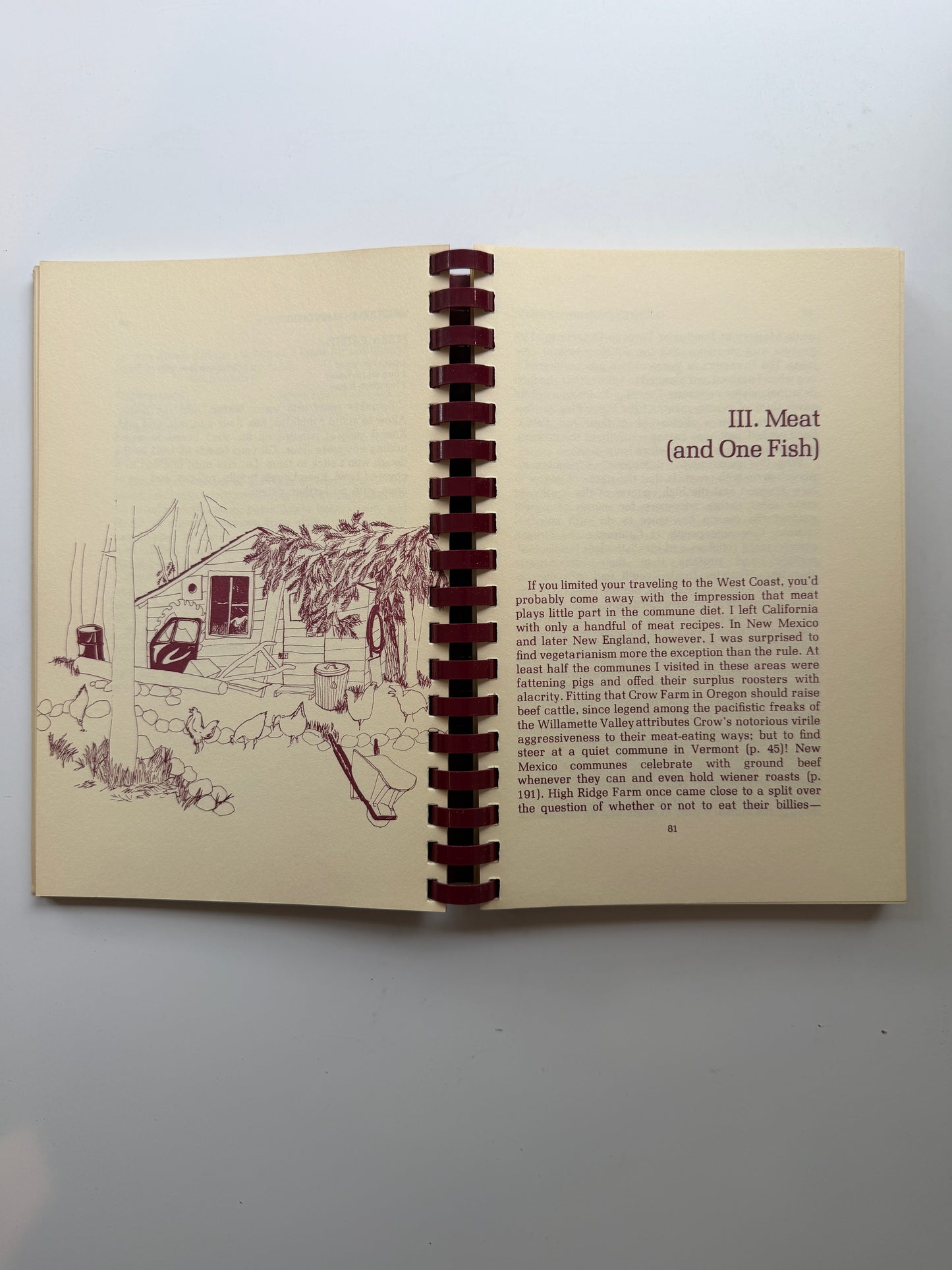 Country Commune Cooking (Lucy Horton)