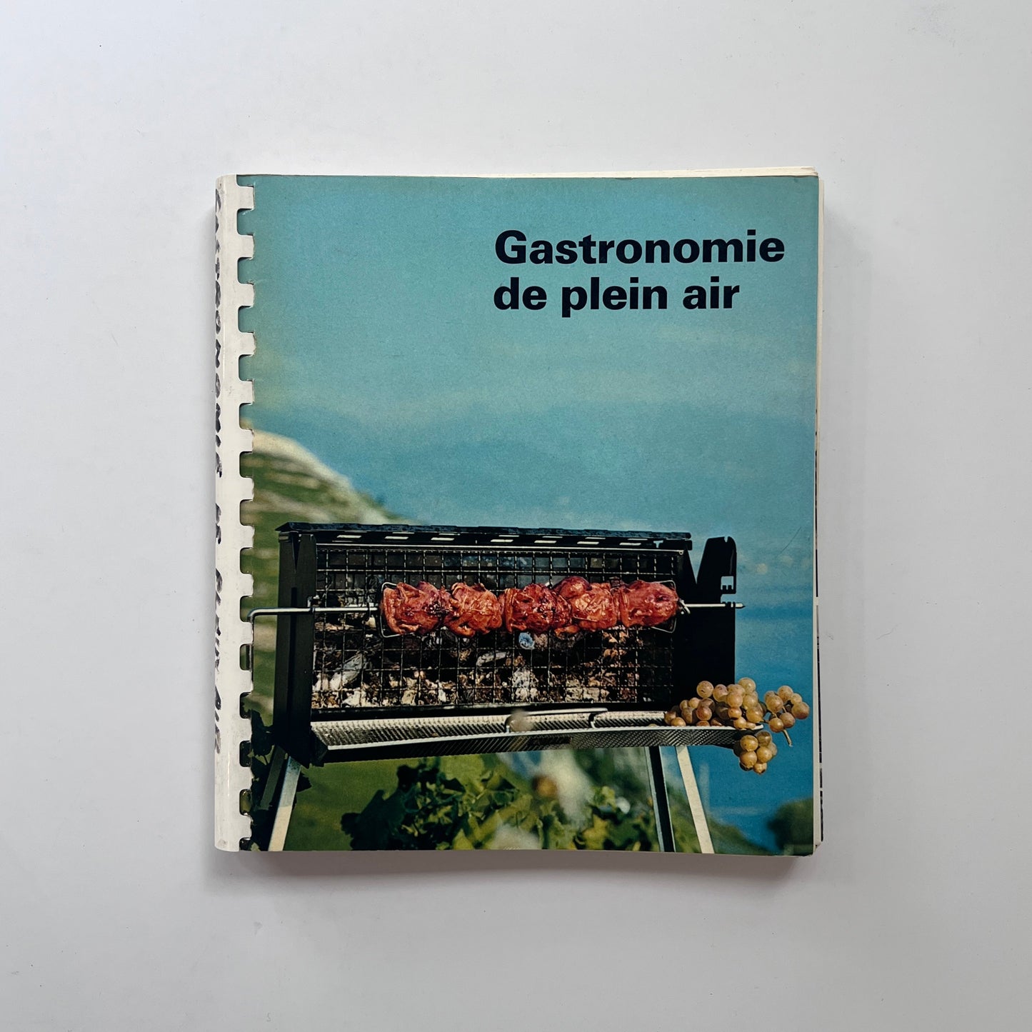 Gastronomie de Plein Air (J. Montandon, J.P. Schwegler, and Mario V. Bondanini)