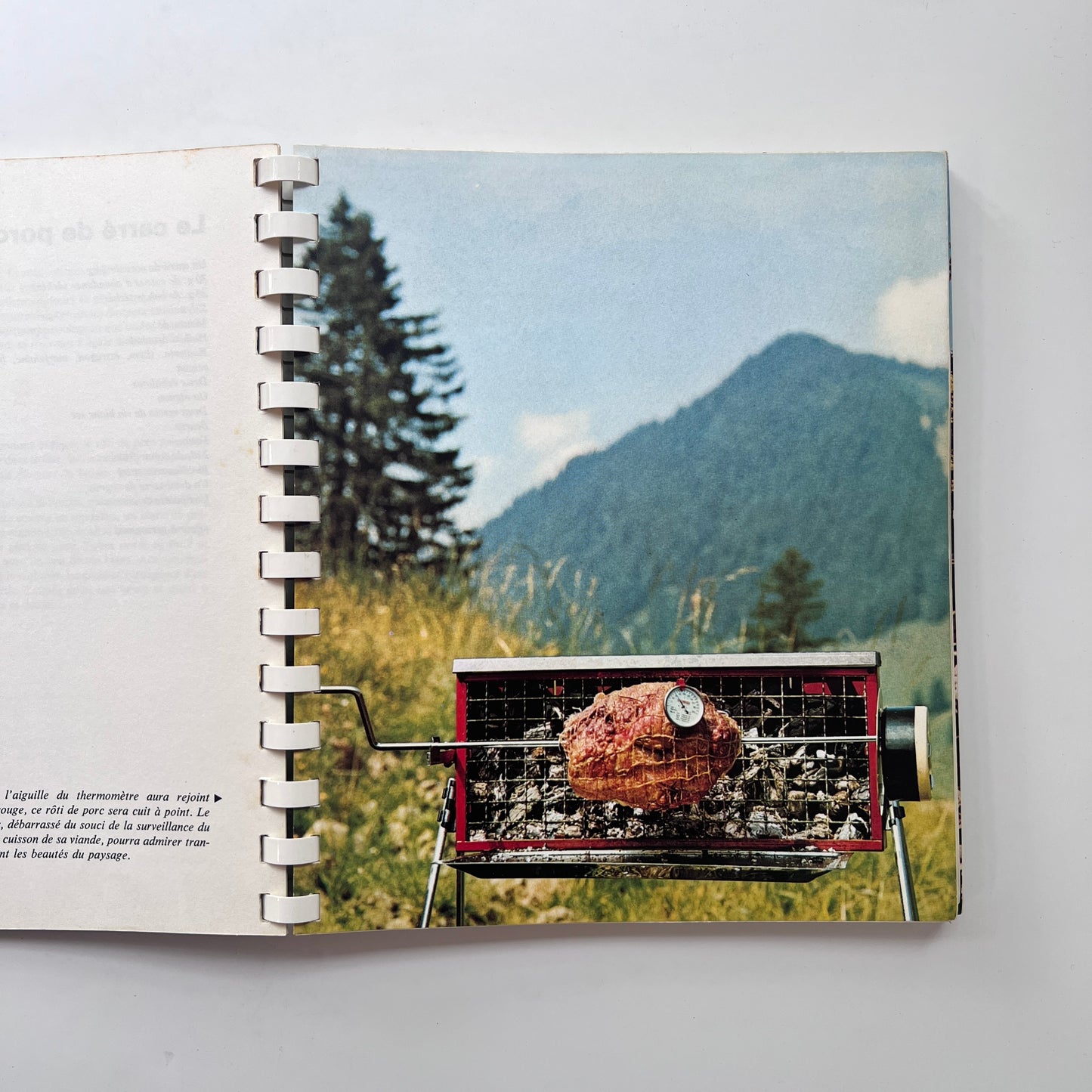Gastronomie de Plein Air (J. Montandon, J.P. Schwegler, and Mario V. Bondanini)