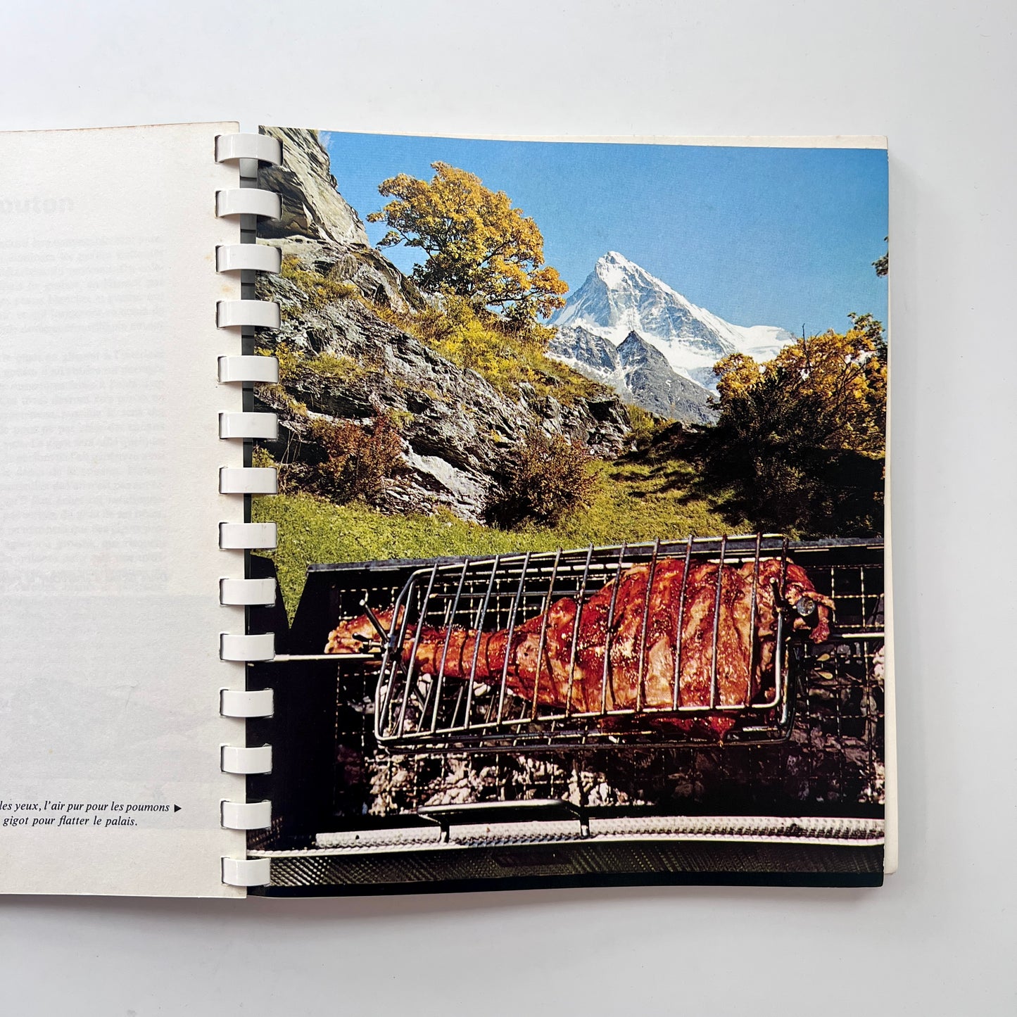 Gastronomie de Plein Air (J. Montandon, J.P. Schwegler, and Mario V. Bondanini)