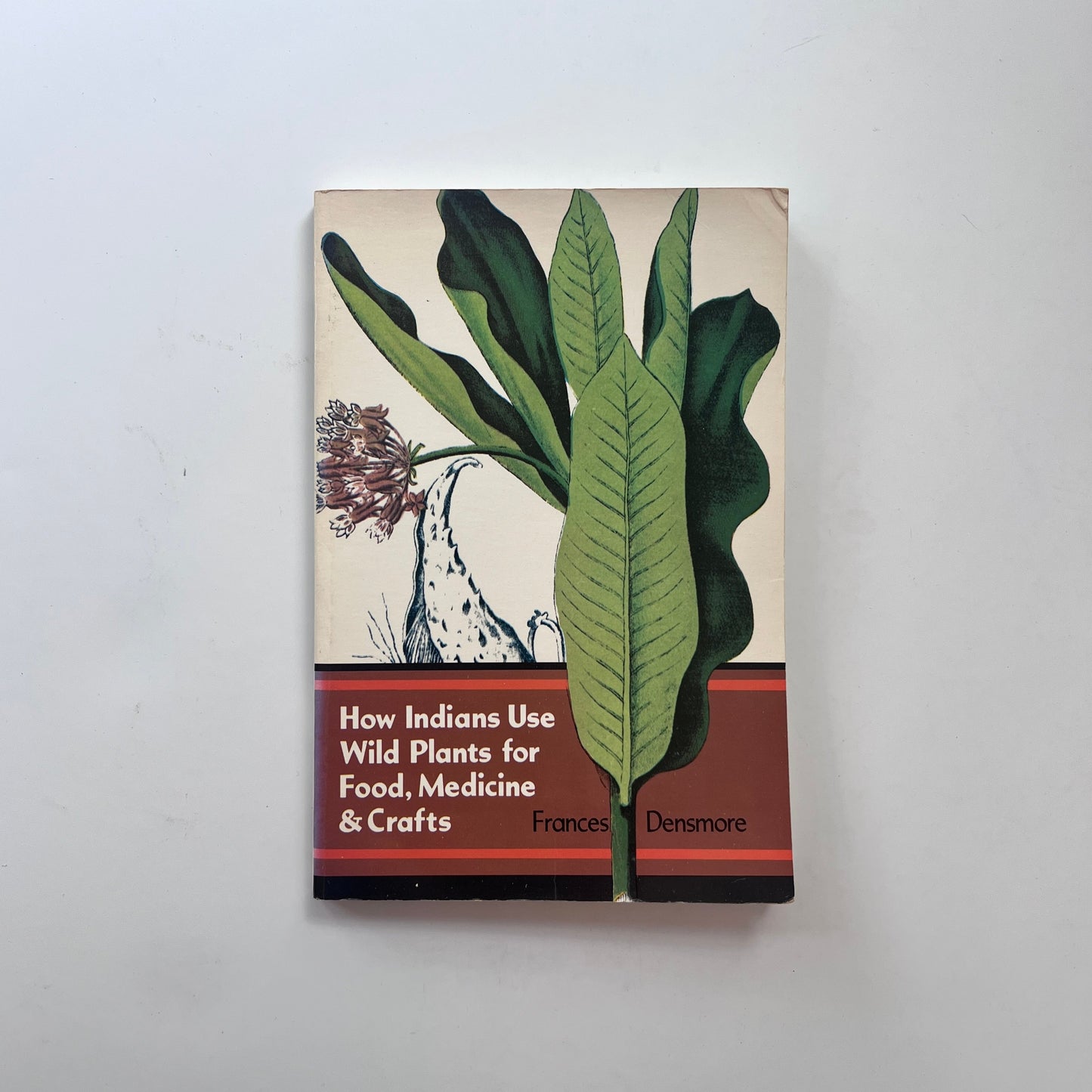 How Indians Use Wild Plants for Food, Medicine & Crafts (Frances Densmore)