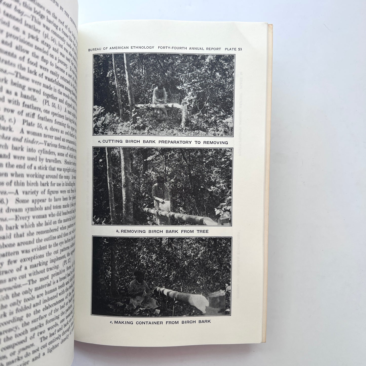 How Indians Use Wild Plants for Food, Medicine & Crafts (Frances Densmore)