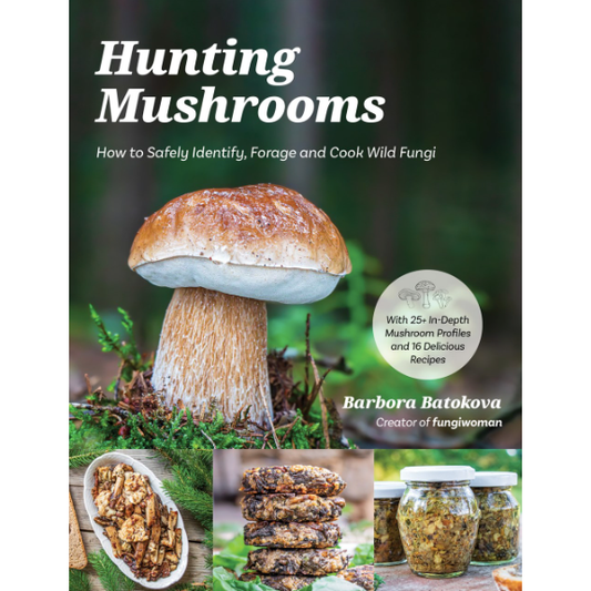 Hunting Mushrooms (Barbora Batokova)