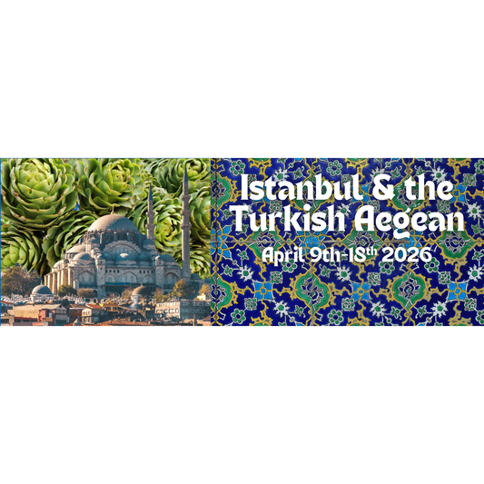 Istanbul + the Turkish Aegean | April 9th-18th, 2026