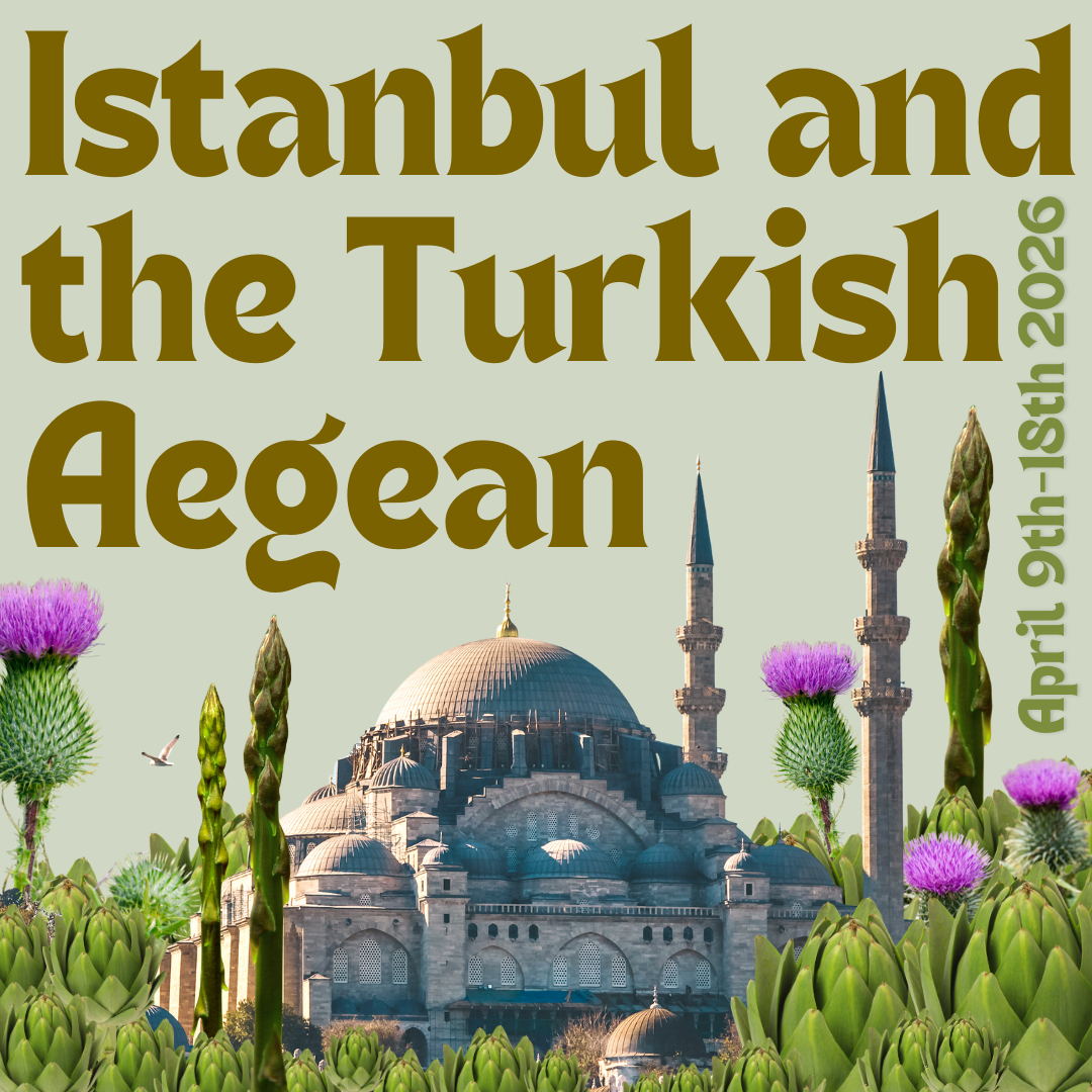 Istanbul + the Turkish Aegean | April 9th-18th, 2026