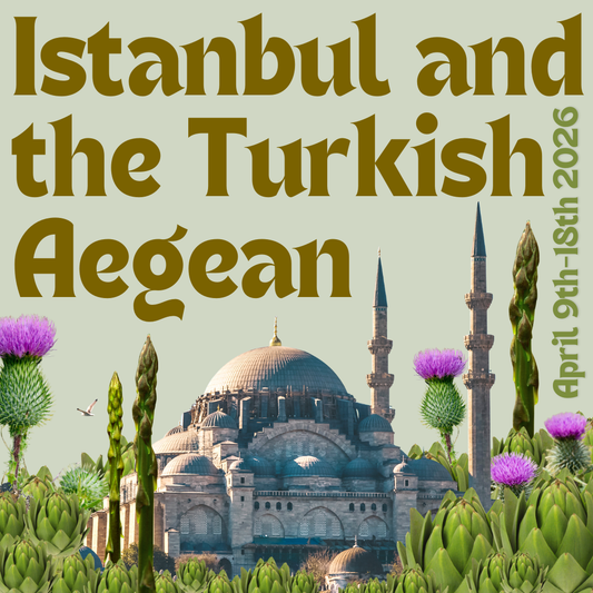 Istanbul + the Turkish Aegean | April 9th-18th, 2026