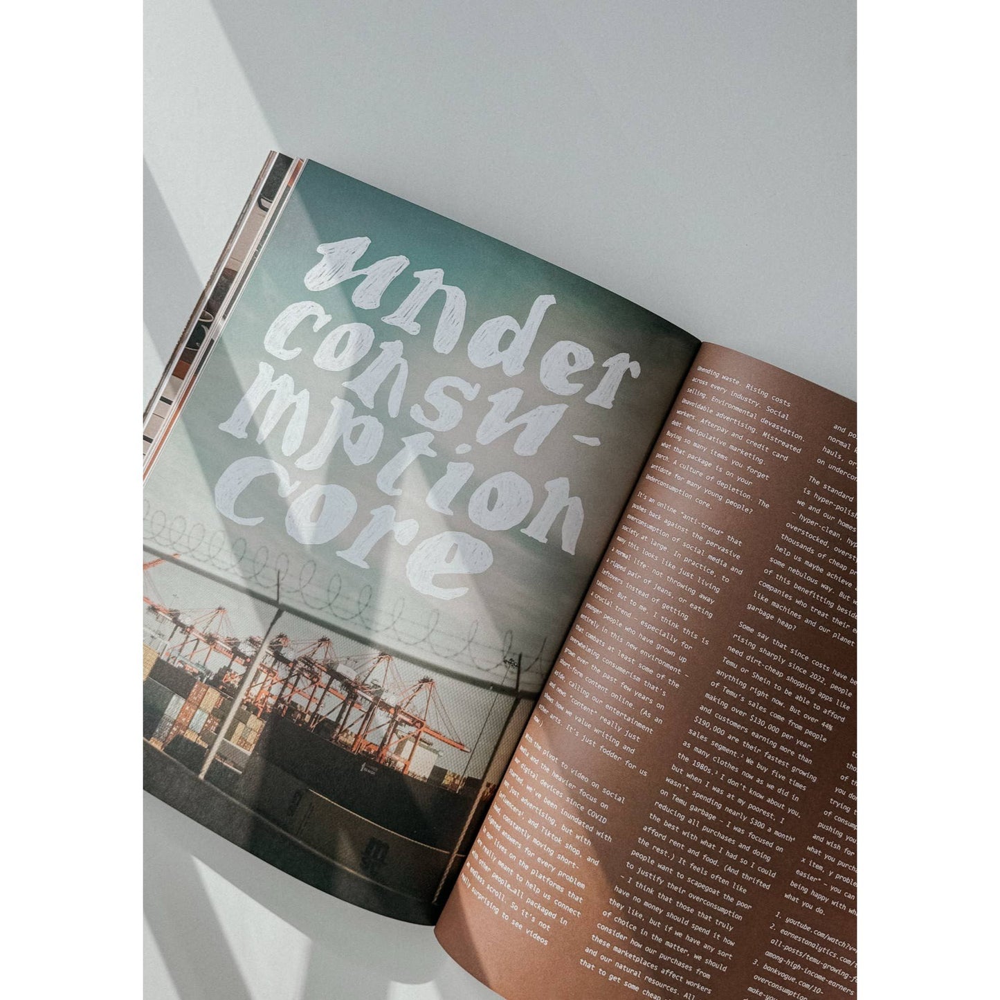 Chickpea Mag Issue 39: Plenty