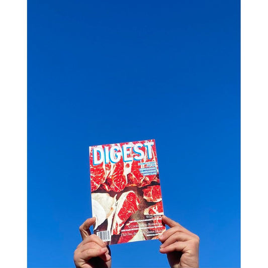 Digest Magazine Issue 15