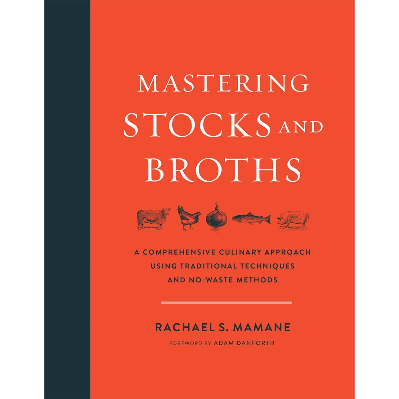 Mastering Stocks & Broths (Rachael S. Mamane)